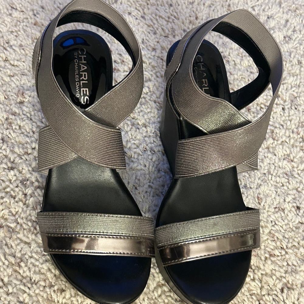 Charles by Charles David 4" wedges with elastic & leather straps